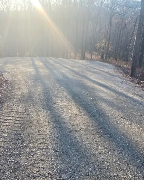 Freshly graded gravel lane through bare hardwoods, ready to seal